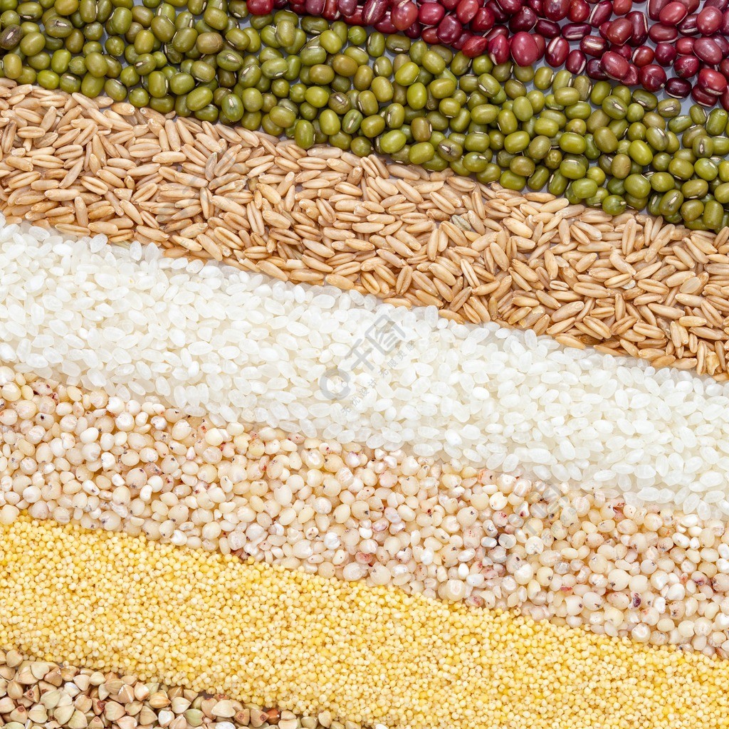 五谷豐登與棉花種植 農業多樣化的視覺與內涵